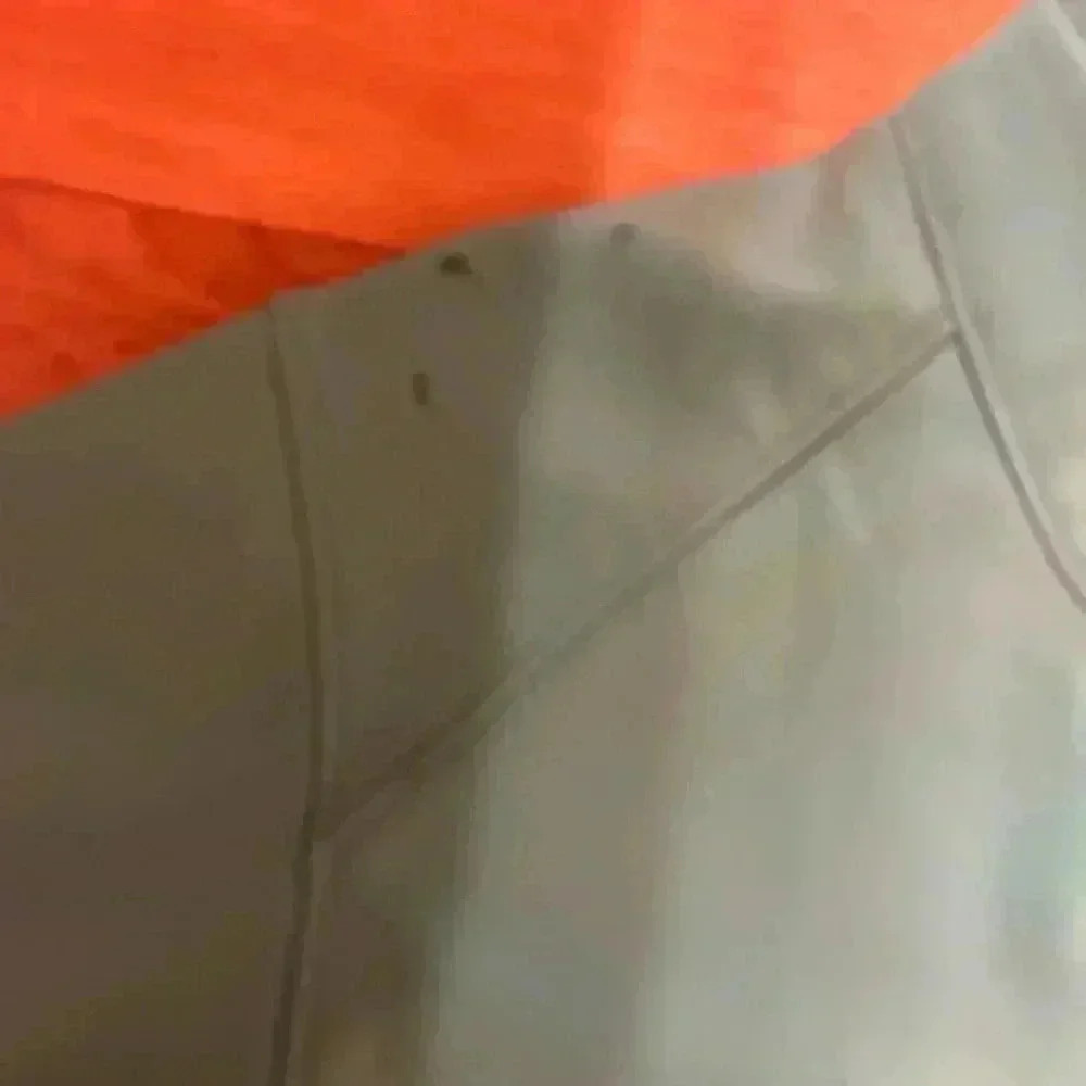Patagonia soft shell - Picture 6 of 7